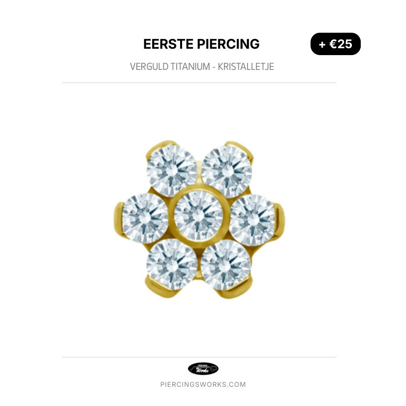 Eerste Piercing — Verguld Titanium - Kristalletje
