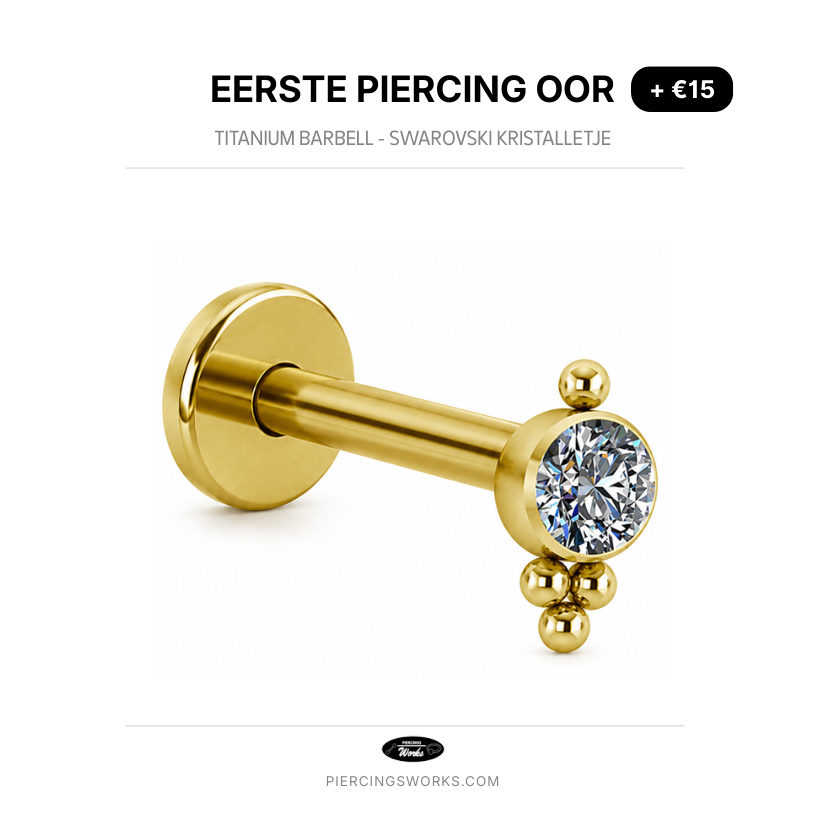 Eerste Piercing Oor — Titanium Barbell - Swarovski Kristalletje