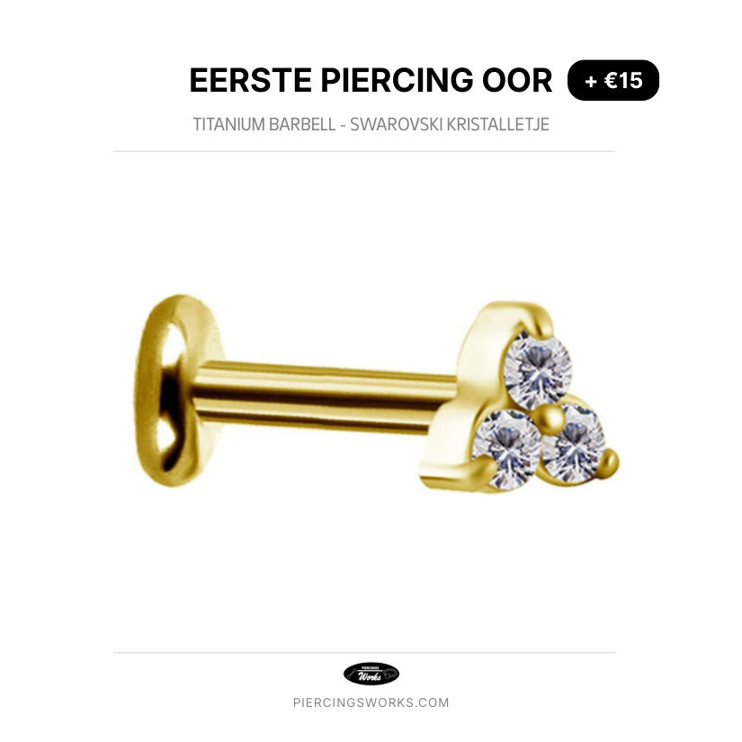 Eerste Piercing Oor — Titanium Barbell - Swarovski Kristalletje