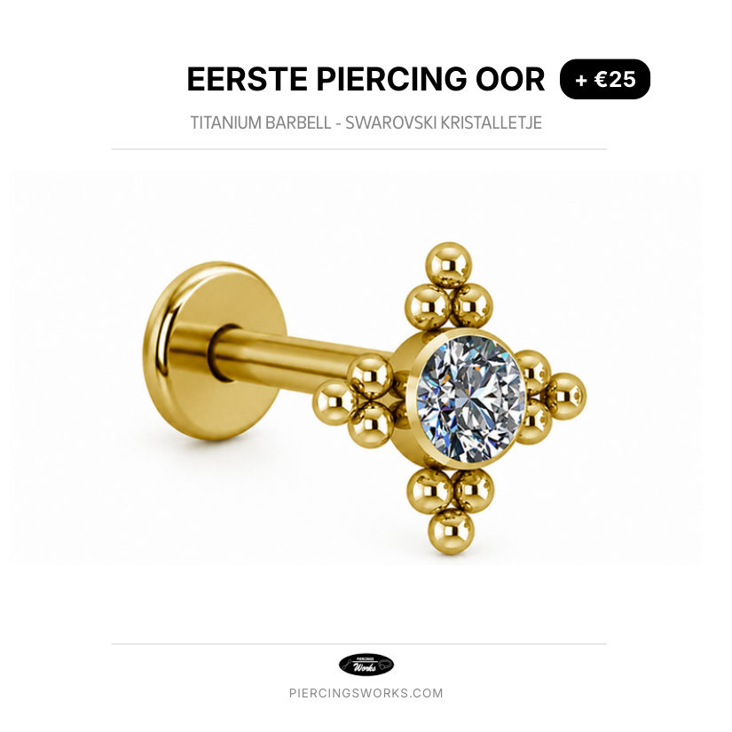 Eerste Piercing Oor — Titanium Barbell - Swarovski Kristalletje