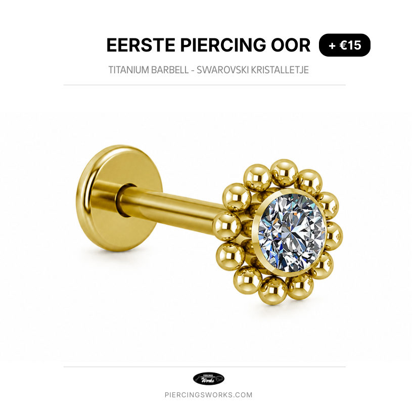 Eerste Piercing Oor — Titanium Barbell - Swarovski Kristalletje