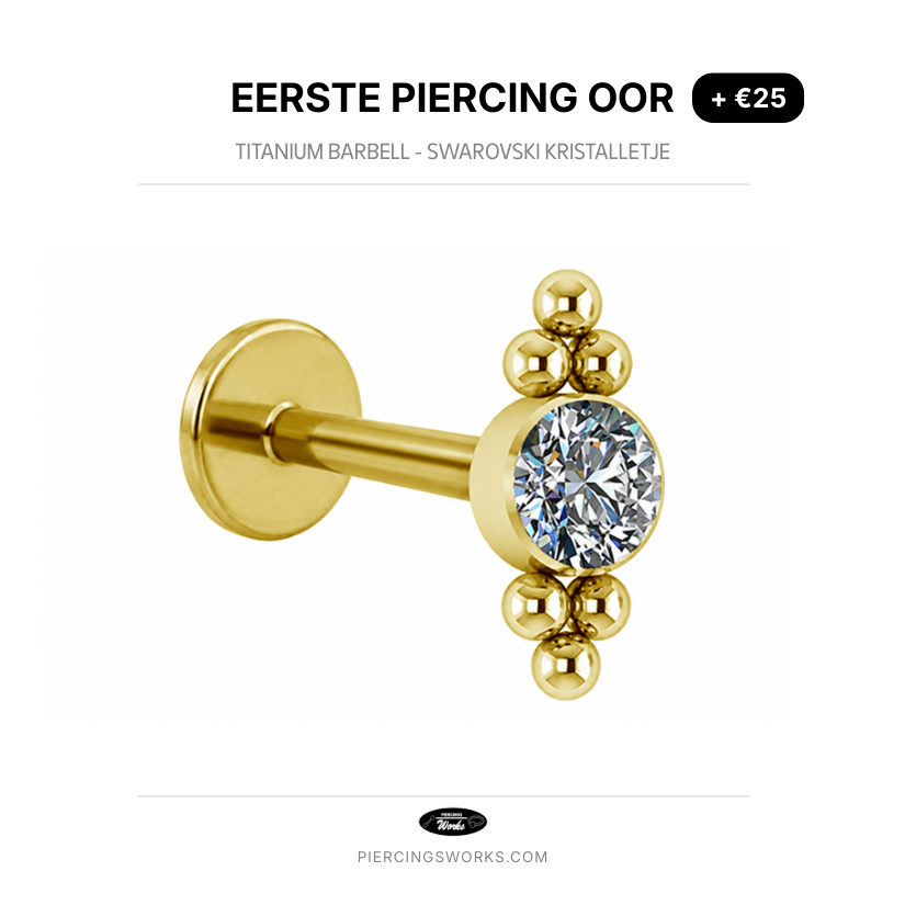Eerste Piercing Oor — Titanium Barbell - Swarovski Kristalletje