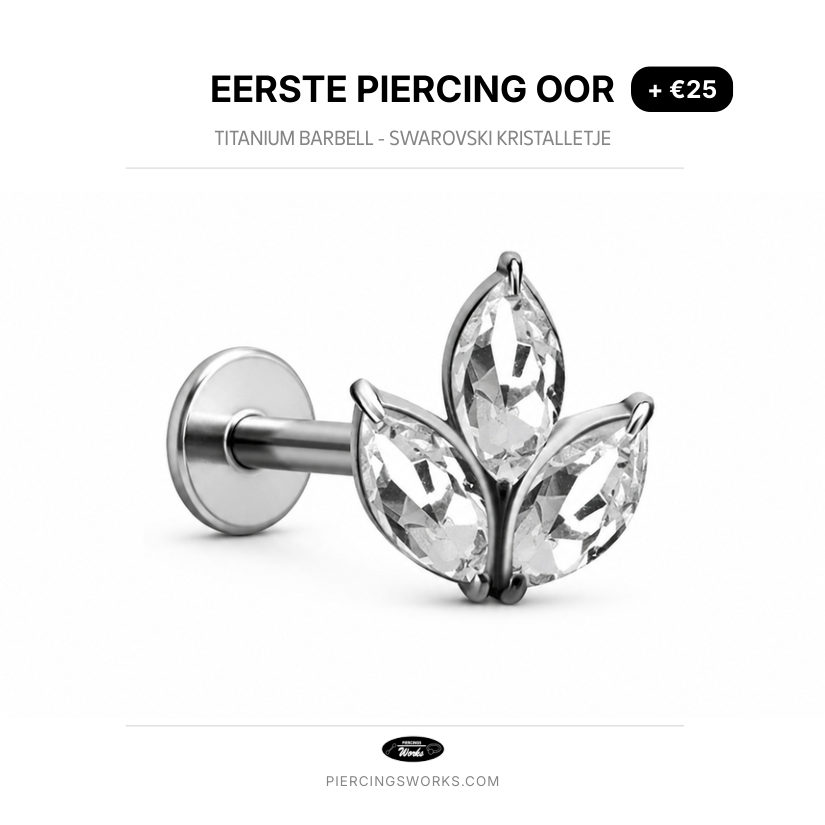 Eerste Piercing Oor — Titanium Barbell - Swarovski Kristalletje