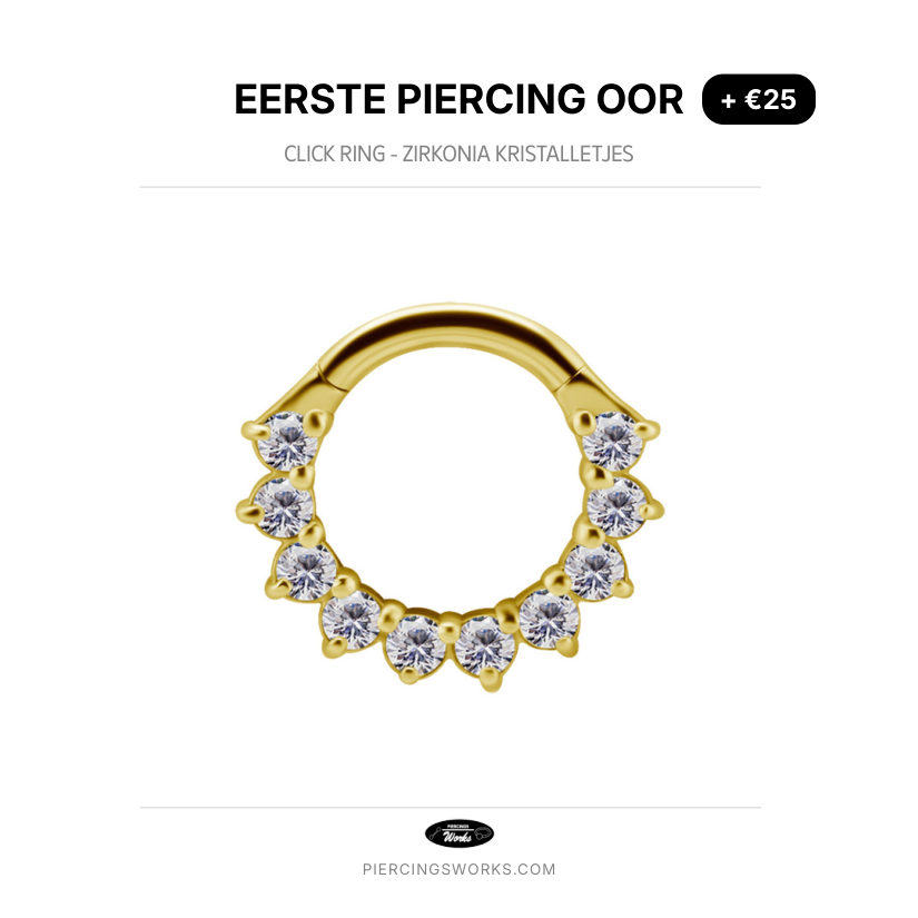 Eerste Piercing Oor — Click Ring - Zirkonia Kristalletjes