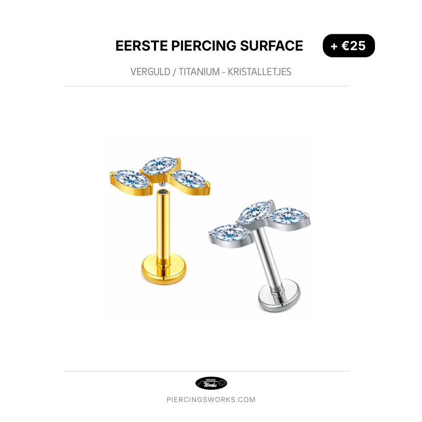 Eerste Piercing Surface — Verguld / Titanium - Kristalletjes