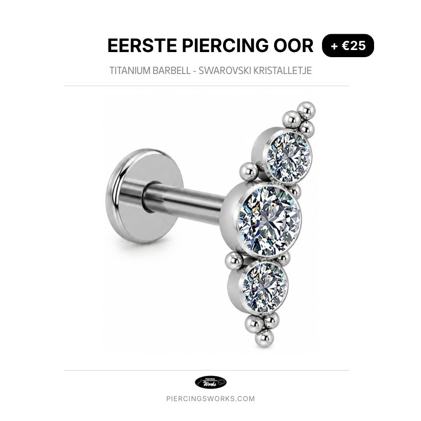 Eerste Piercing Oor — Titanium Barbell - Swarovski Kristalletje